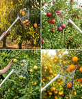 ecofynd Ecofynd White Fruit Picker Net for Mangoes & Tree Fruit Harvesting