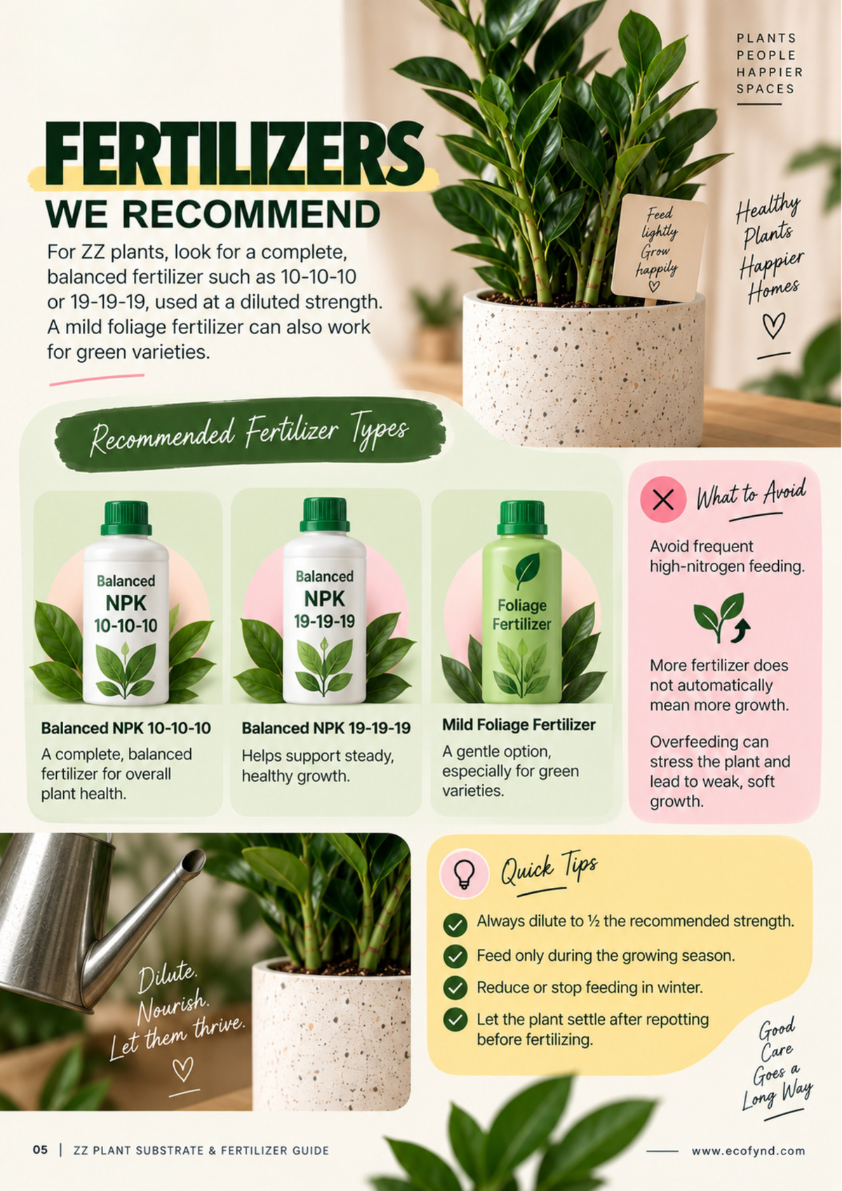 Recommended fertilizers for ZZ plants, comparing balanced NPK 10-10-10, NPK 19-19-19, and mild foliage fertilizers, alongside tips to avoid overfeeding and high-nitrogen mixes.