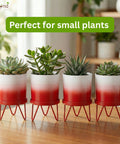 ecofynd Ecofynd Lucas Tabletop Metal Planter with Red Stand