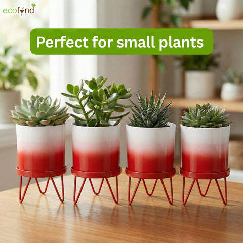 ecofynd Ecofynd Lucas Tabletop Metal Planter with Red Stand