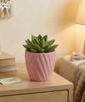 ecofynd Ecofynd Pink Twisted 4 Inch Ceramic Cachepot Planter for Indoor Plants