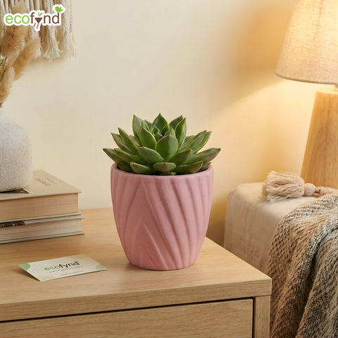 ecofynd Ecofynd Pink Twisted 4 Inch Ceramic Cachepot Planter for Indoor Plants