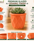 ecofynd 4 Inch Ceramic Plant Pots with Drainage Hole