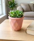 ecofynd Ecofynd Pink 4.3 Inch Cachepot Planter with Drainage Hole for Desk