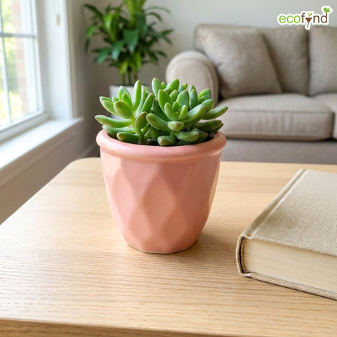 ecofynd Ecofynd Pink 4.3 Inch Cachepot Planter with Drainage Hole for Desk