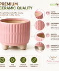 ecofynd 3.5 Inch Ceramic Plant Pots with Drainage Hole