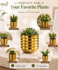 ecofynd 1 Pack 5 Inch Gold Metal Flower Pot