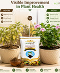 ecofynd 100% Organic 500GM Neem Khali Fertilizer for Plants