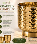 ecofynd Premium Golden Metal Planter – Set of 2, Goblet Design
