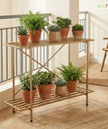 ecofynd Eric Plant Stands for Outdoor Balcony