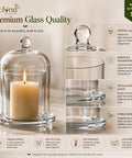 ecofynd 3.3 Inches Decorative Glass Bell Jar with Lid