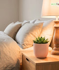 ecofynd Ecofynd Blush Pink 5 inch Ceramic Cachepot Planter for Indoor Plants