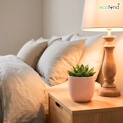 ecofynd Ecofynd Blush Pink 5 inch Ceramic Cachepot Planter for Indoor Plants