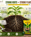 ecofynd All Purpose 5KG Potting Soil for Indoor & Outdoor Plants