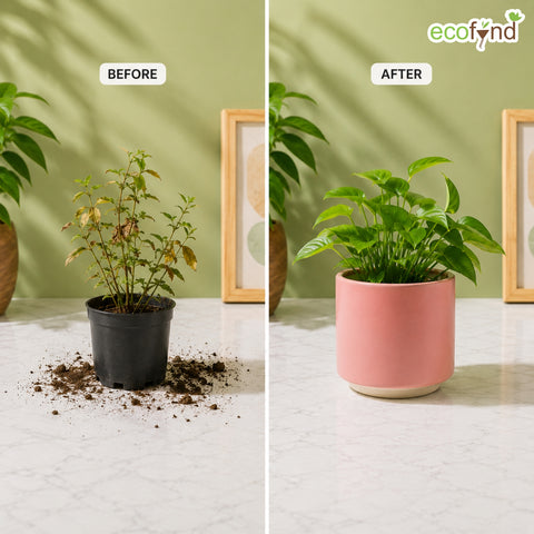 ecofynd Ecofynd 6 Inch Pink Ceramic Cachepot Planter with Drainage