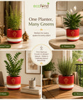 ecofynd 4.5 Inch Ganesha Symbol Terracotta Pot for Indoor & Outdoor Plants