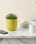 ecofynd Ecofynd Light Green 5 inch Ceramic Cachepot Planter for Indoor Plants