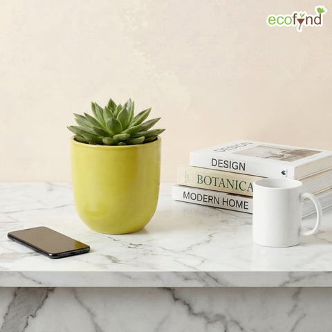 ecofynd Ecofynd Light Green 5 inch Ceramic Cachepot Planter for Indoor Plants
