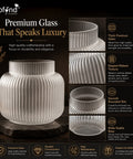 ecofynd 4.7 Inch Glass Flower Vase for Fresh & Artificial Flowers