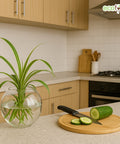 ecofynd Glass Vase for Flowers & Décor – Clear Globe Shape | Transparent