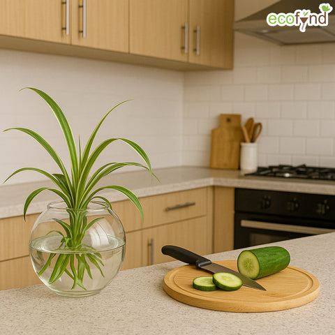 ecofynd Glass Vase for Flowers & Décor – Clear Globe Shape | Transparent