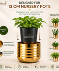 ecofynd Premium Golden Metal Planter – 5 Inch, Spiral Design