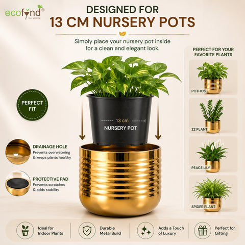 ecofynd Premium Golden Metal Planter – 5 Inch, Spiral Design