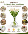ecofynd 4.1 Inches Glass Vase for Flower Plants