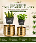 ecofynd Premium Golden Metal Planter – Set of 2, Spiral Design