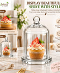 ecofynd 3.3 Inches Decorative Glass Bell Jar with Lid