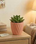 ecofynd Ecofynd Peach Twisted 4 Inch Ceramic Cachepot Planter for Indoor Plants