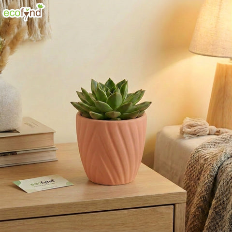ecofynd Ecofynd Peach Twisted 4 Inch Ceramic Cachepot Planter for Indoor Plants