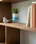 ecofynd Ecofynd Lucas Tabletop Metal Planter with Sky Blue Stand