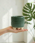 ecofynd Ecofynd Dark Green 3.5 Inch Ribbed Ceramic Cachepot Planter with Drainage Hole