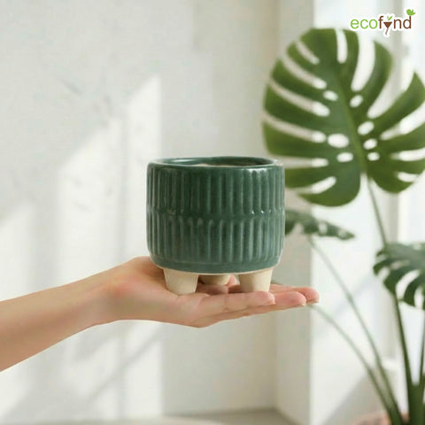 ecofynd Ecofynd Dark Green 3.5 Inch Ribbed Ceramic Cachepot Planter with Drainage Hole