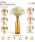 ecofynd 3.1 Inches Glass Vase for Flower Plants