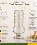 ecofynd 4.7 Inches Glass Vase for Flower Plants