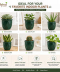 ecofynd 4 Inch Ceramic Plant Pots with Drainage Hole