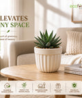 ecofynd 3.5 Inch White Ceramic Plant Pots with Drainage Hole