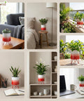 ecofynd Ecofynd Lucas Tabletop Metal Planter with Red Stand