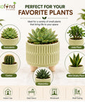 ecofynd 3.5 Inch Ceramic Plant Pots with Drainage Hole