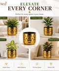 ecofynd Premium Golden Metal Planter – 5 Inch, Symmetrical Oval Design