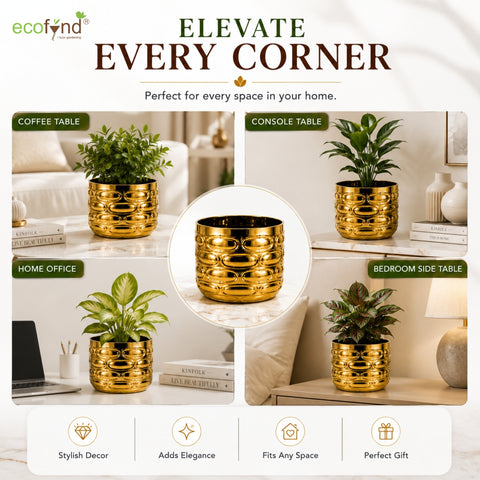 ecofynd Premium Golden Metal Planter – 5 Inch, Symmetrical Oval Design