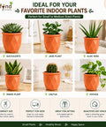 ecofynd 4 Inch Ceramic Plant Pots with Drainage Hole
