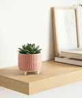 ecofynd Ecofynd Pink 3.5 Inch Ribbed Ceramic Cachepot Planter with Drainage Hole