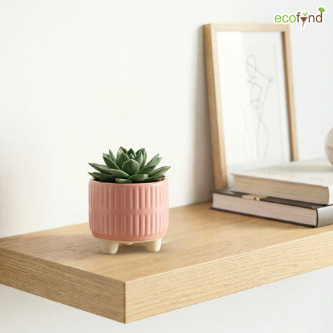 ecofynd Ecofynd Pink 3.5 Inch Ribbed Ceramic Cachepot Planter with Drainage Hole