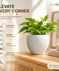 ecofynd 5.1 Inch White Ceramic Plant Pots with Drainage Hole