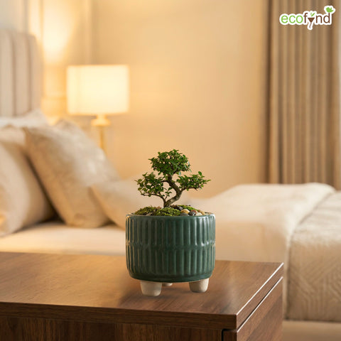 ecofynd Ecofynd Dark Green 3.5 Inch Ribbed Ceramic Cachepot Planter with Drainage Hole