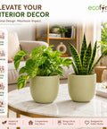 ecofynd 5 Inch Ceramic Plant Pots with Drainage Hole