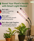 ecofynd Bluma Grow Light for Indoor Plants | Dual Spectrum LED with Adjustable Pole